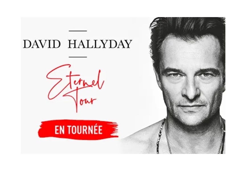 concert david hallyday