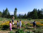 jardin-camping